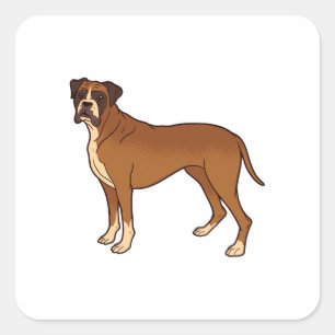 Sticker Carré Nice Brown Boxer Chien race Design