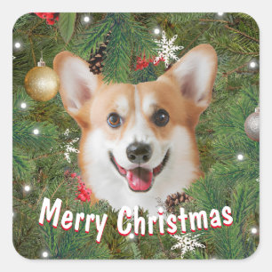 Sticker Carré Noël de Corgi