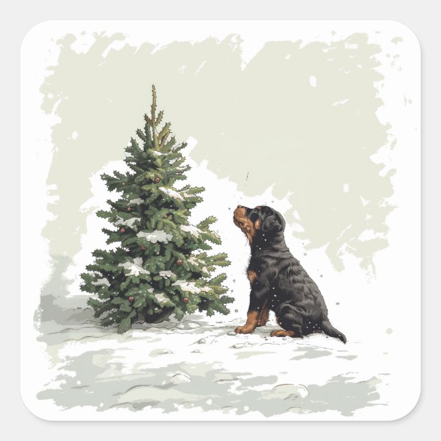Sticker Carré Noël Rottweiler Chien Arbre de Noël (Devant)
