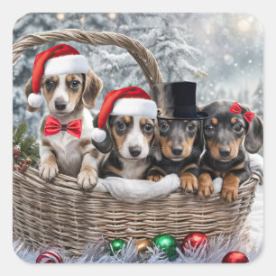 Sticker Carré Noël Vacances Cute Dachshund Chiots