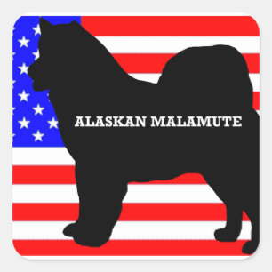 Sticker Carré nom de malamute en alaskan silo sur le drapeau