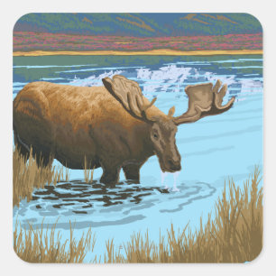 Sticker Carré Nouveau YorkMoose buvant dans le lac