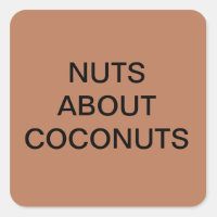 NUTS À PROPOS DES BÂTIMENTS DE COCONUTS