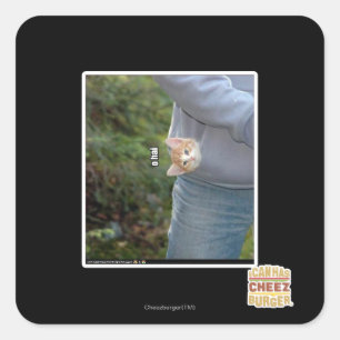 Sticker Carré O Shanghai