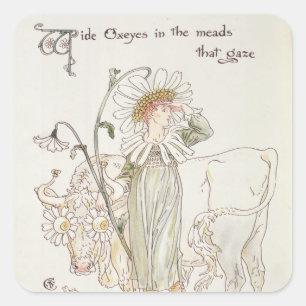 Sticker Carré Oeils de boeuf sauvages dans les hydromels qui