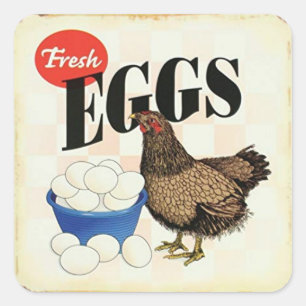 Sticker Carré Oeufs frais Vintages rétro Poulet