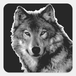 Sticker Carré Oeuvre de Loup noir et blanc