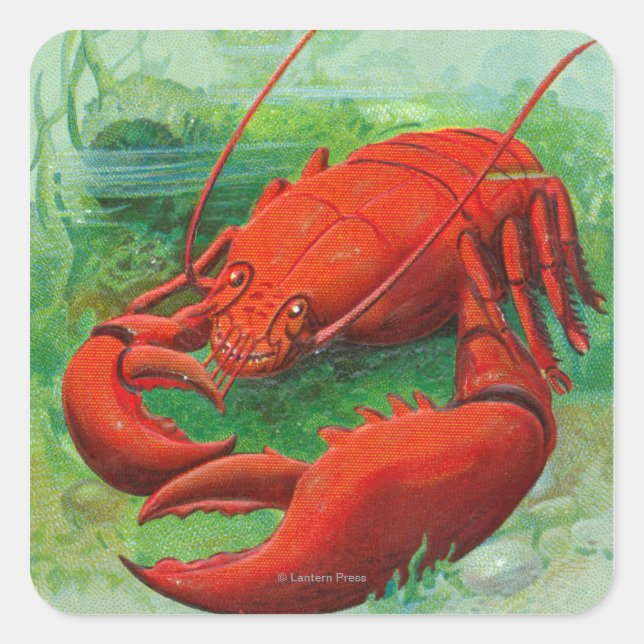 Sticker Carré Oh Vous Scène De Homard (Devant)