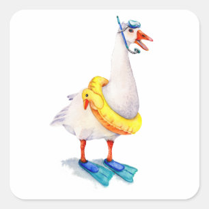 Sticker Carré Oie blanche en snorkeling