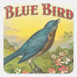 Sticker Carré Oiseau bleu