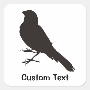 Sticker Carré Oiseau canarien permanent