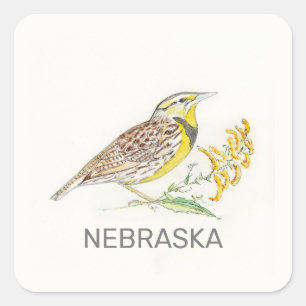 Sticker Carré Oiseau du Nebraska et fleur