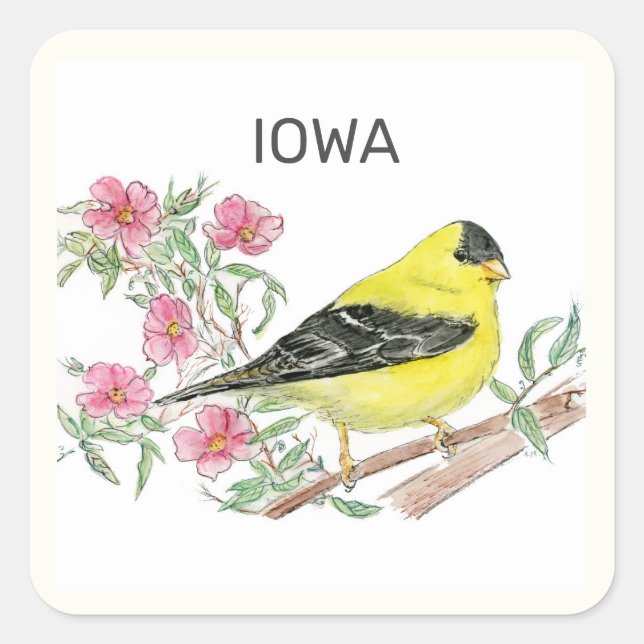 Sticker Carré Oiseau et fleur de l'État de l'Iowa (Devant)