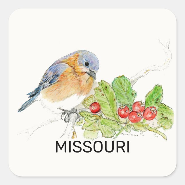 Sticker Carré Oiseau et fleur du Missouri (Devant)
