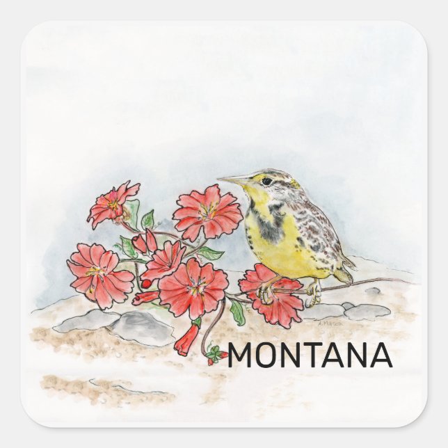 Sticker Carré Oiseau et fleur du Montana (Devant)