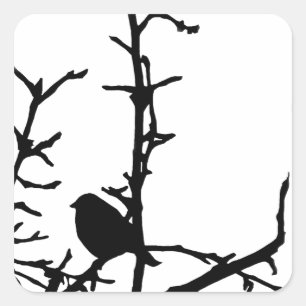 Sticker Carré Oiseau sur une branche