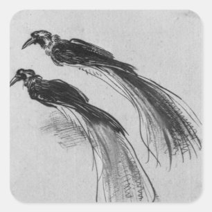 Sticker Carré Oiseaux