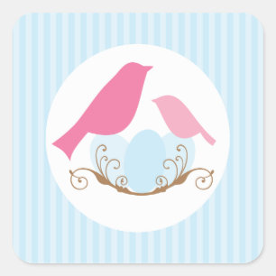 Sticker Carré Oiseaux Baby shower Enveloppe Phoques