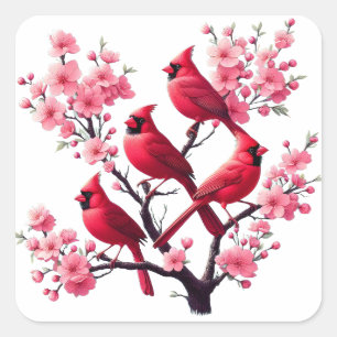 Sticker Carré Oiseaux cardinaux rouges Oiseaux de fleurs de ceri