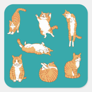 Sticker Carré Orange Cats Funny
