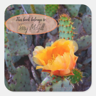 Sticker Carré Orange poire opuntia cactus photo fleur