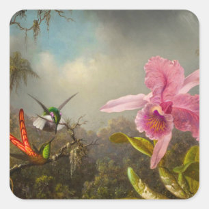 Sticker Carré Orchidée avec deux colibris Heade