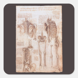 Sticker Carré Os de squelette de Léonard de Vinci, anatomie huma