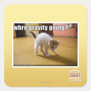 Sticker Carré Où va la gravité ?