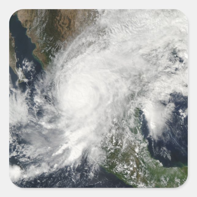 Sticker Carré Ouragan Kenna (Devant)