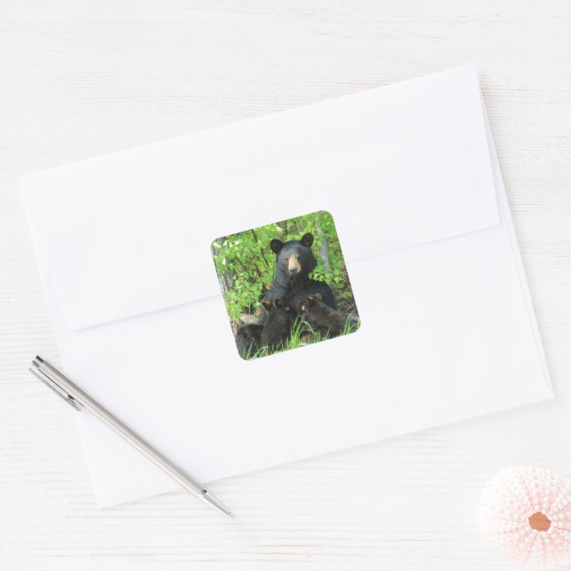 Sticker Carré Ours noir et cubes jumeaux (Enveloppe)