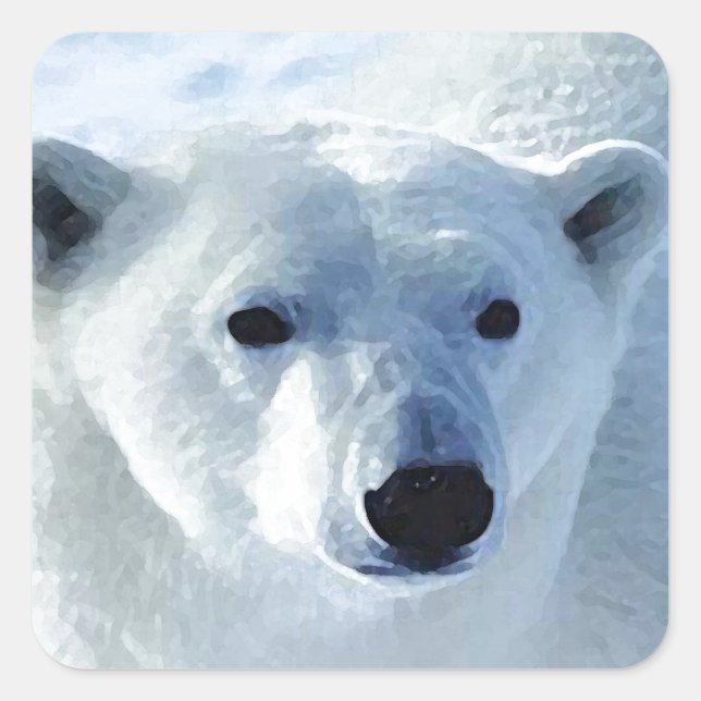 Sticker Carré Ours polaire (Devant)