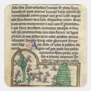 Sticker Carré Page de Roy de texte avec l'illustration de