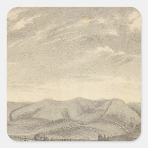 Sticker Carré Palmer res, vignoble