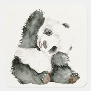 Sticker Carré Panda de bébé   mignon et velu