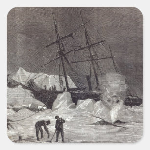 Sticker Carré Pandora est trempée dans la glace