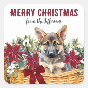 Sticker Carré Panier de Noël berger allemand Poinsettia