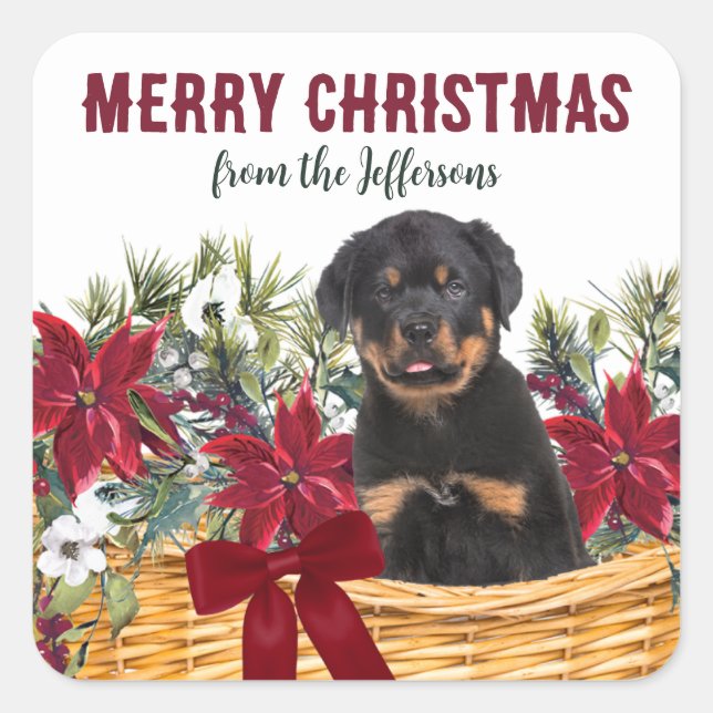 Sticker Carré Panier de Noël de chien Poinsettia Rottweiler (Devant)