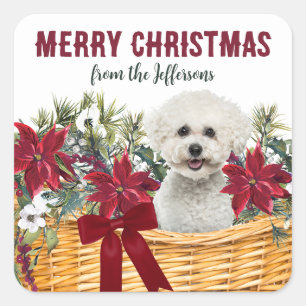 Sticker Carré Panier de Noël Poinsettia Bichon Frise Chien