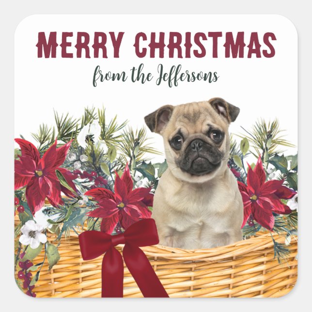 Sticker Carré Panier de Noël Poinsettia Carlin Chien (Devant)