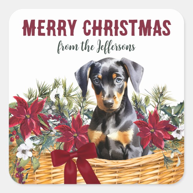 Sticker Carré Panier de Noël Poinsettia Doberman Pinscher (Devant)