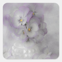 Pansies souples