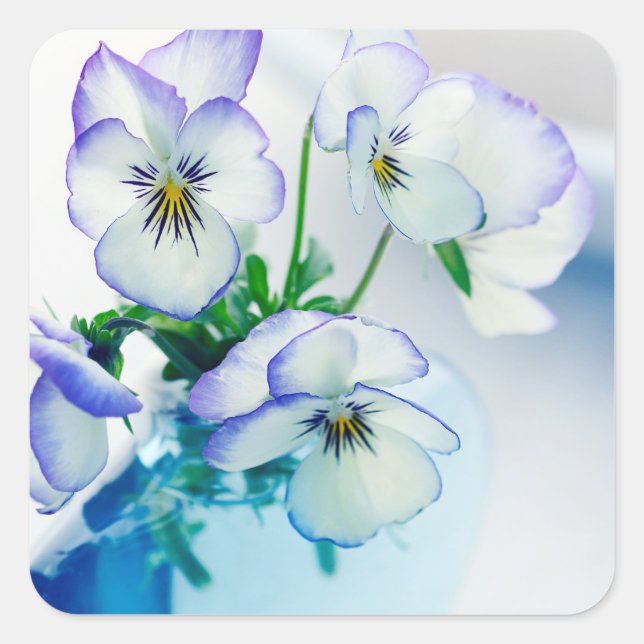 Sticker Carré Pansies violettes blanches Fleurs Vase bleu Floral (Devant)