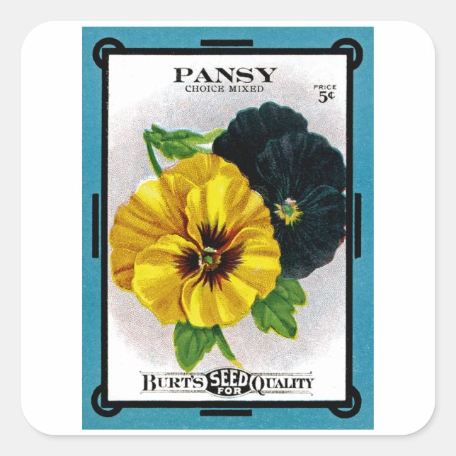 Sticker Carré Pansy (Devant)
