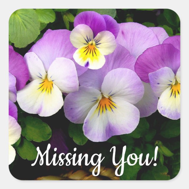 Sticker Carré PANSY Missing You (Devant)