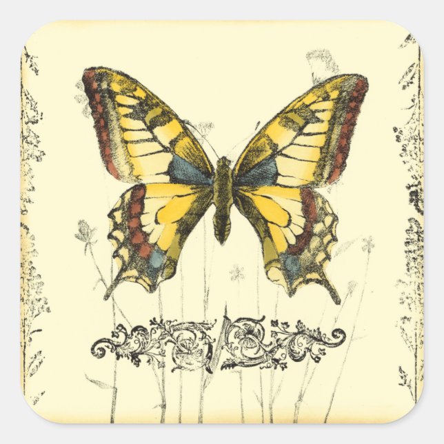 Sticker Carré Papillon décoratif avec Fleur sauvage (Devant)