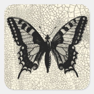 Sticker Carré Papillon noir et blanc sur Arrière - plan fissuré