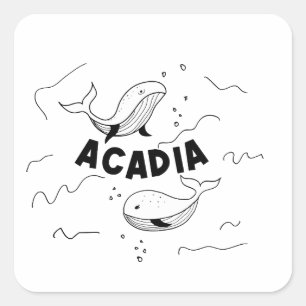 Sticker Carré Parc national d'Acadia Maine Baleines
