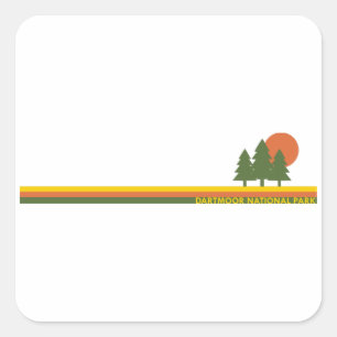 Sticker Carré Parc national de Dartmoor Pine Trees Soleil