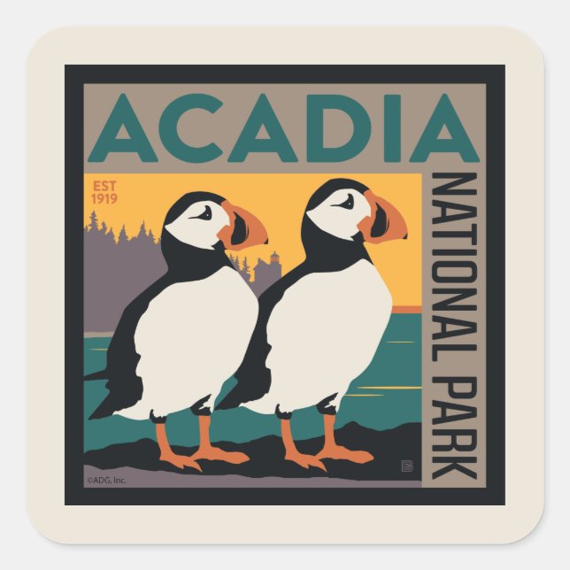 Sticker Carré Parc national de l'Acadie, Maine | Puffins (Devant)