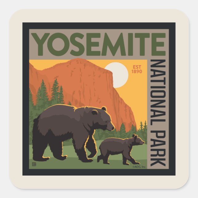Sticker Carré Parc national de Yosemite | Famille d'ours (Devant)